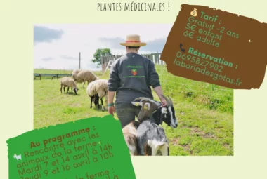 Atelier « Nos animaux » à La Boria des Gotas