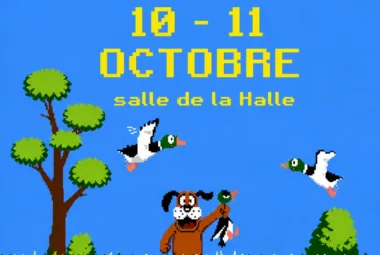 Salon Rétro Gaming