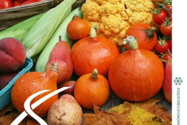 L’automne dans nos assiettes