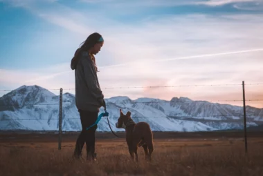 Mois de la Rando : Cani-rando