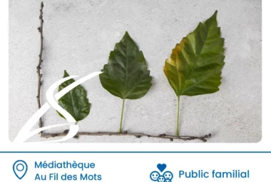Expo-quiz Des arbres et les feuilles
