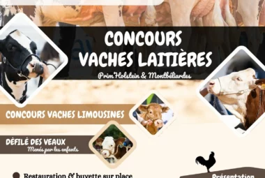Comice agricole