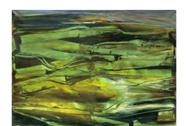 Exposition Vera Braun