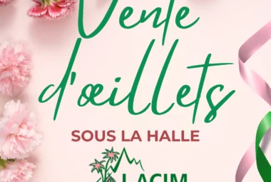 Vente d&rsquo;oeillets