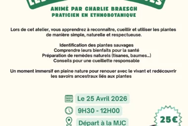 Atelier Se soigner avec les plantes sauvages