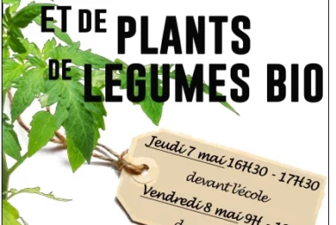 Vente de plants de fleurs et légumes
