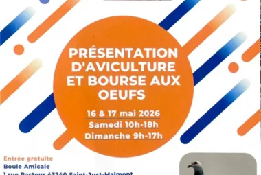 Présentation d&rsquo;aviculture et bourse aux oeufs