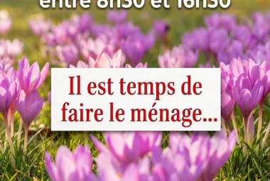 Vides-Maisons43140