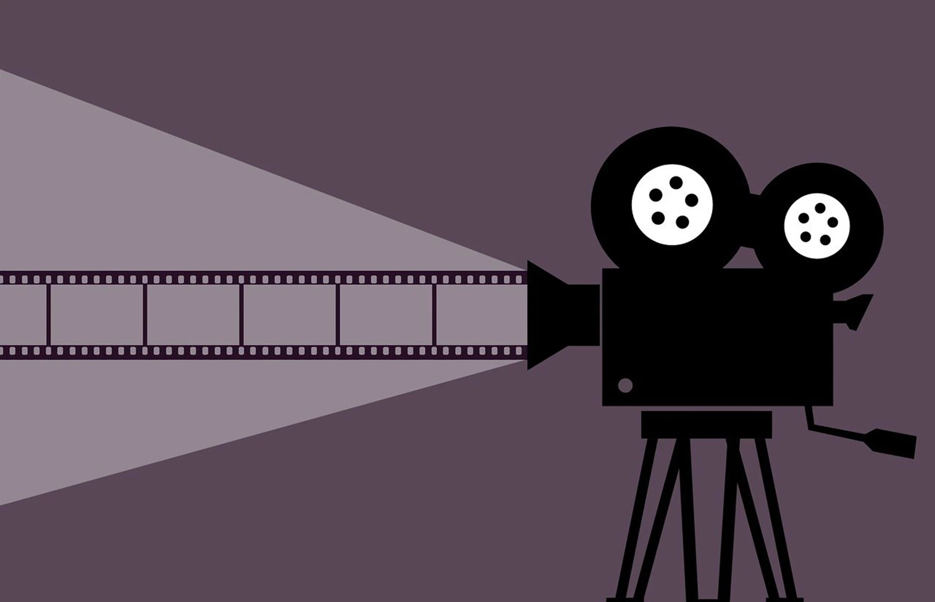 Cycle films d’animation « La tortue rouge »